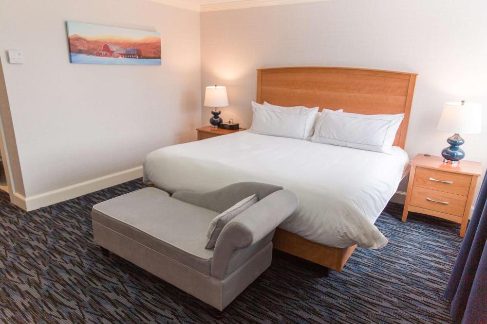 Deluxe King Room interior